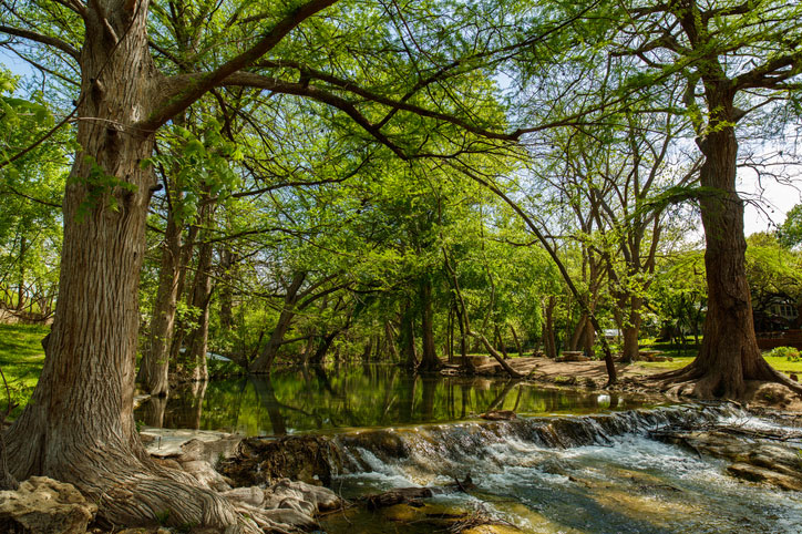 Nature Nature